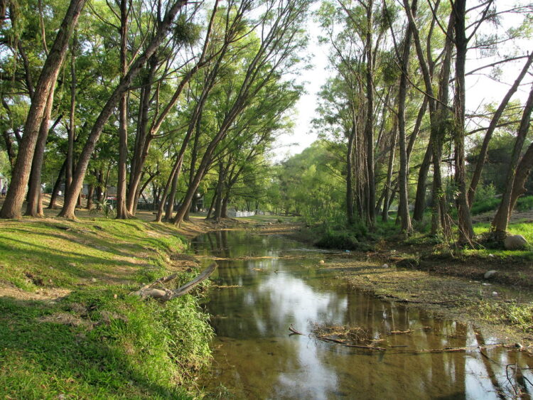 Saneamiento del Río San Marcos: CONAGUA participa y varias dependencias