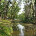 Saneamiento del Río San Marcos: CONAGUA participa y varias dependencias