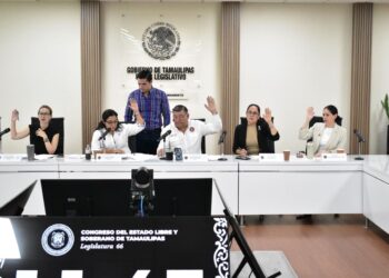 Diputada Francisca Castro propone fortalecer la transparencia financiera de los municipios