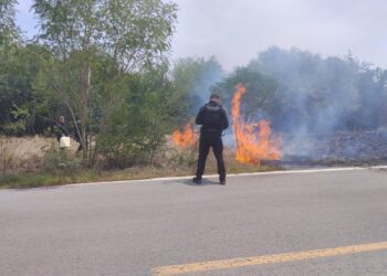 Guardia Estatal sofoca incendio de pastizal que afectaba visibilidad en carretera Casas-Soto la Marina