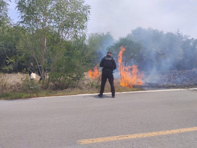Guardia Estatal sofoca incendio de pastizal que afectaba visibilidad en carretera Casas-Soto la Marina
