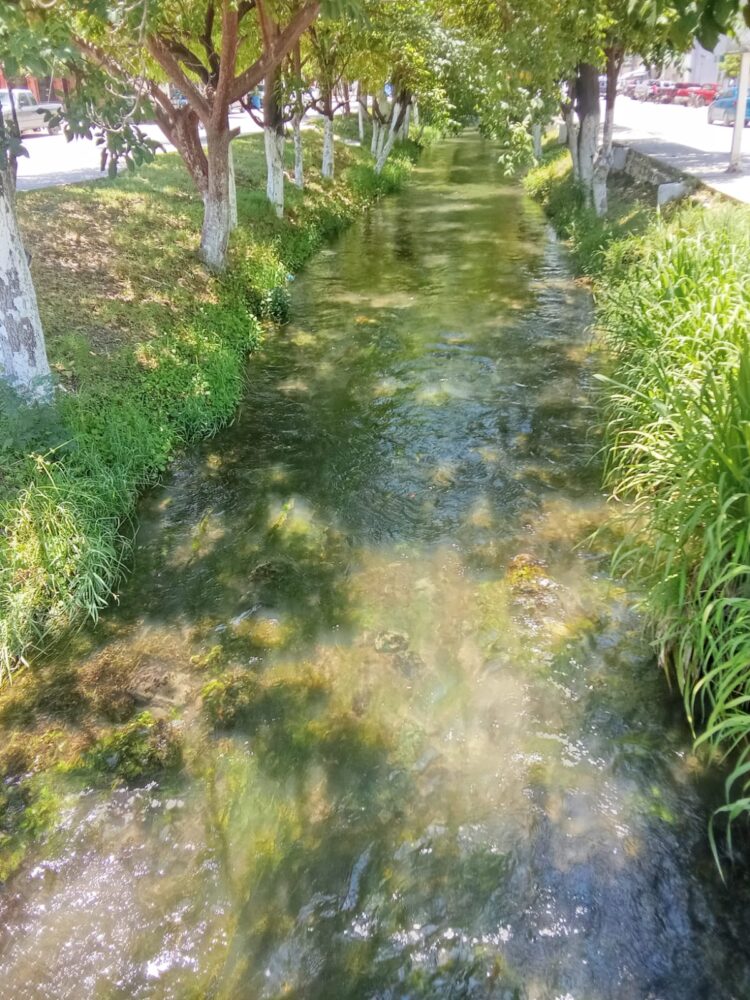 Denuncian nueva contaminación en canal de El Mante; señalan presuntas descargas clandestinas