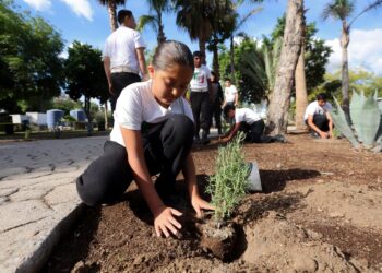 Anuncian Jornada Nacional de Reforestación para el 9 de agosto