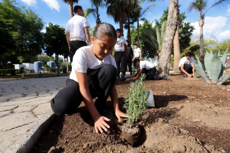 Anuncian Jornada Nacional de Reforestación para el 9 de agosto