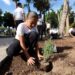 Anuncian Jornada Nacional de Reforestación para el 9 de agosto