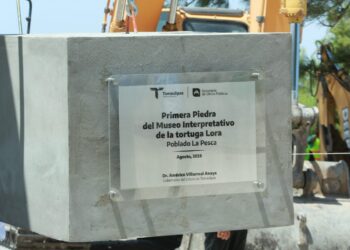 Museo de la Tortuga en La Pesca fortalecerá conservación y turismo en Tamaulipas
