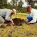 Rescata SEDUMA bosques dañados por incendios y plagas