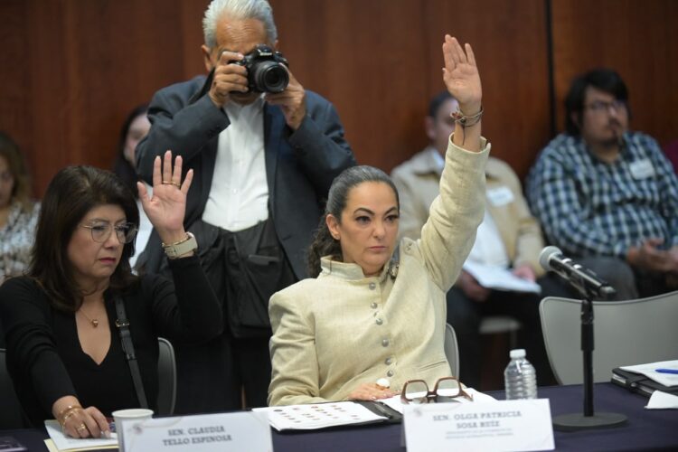 Olga Sosa participa en intensa jornada de trabajo legislativo