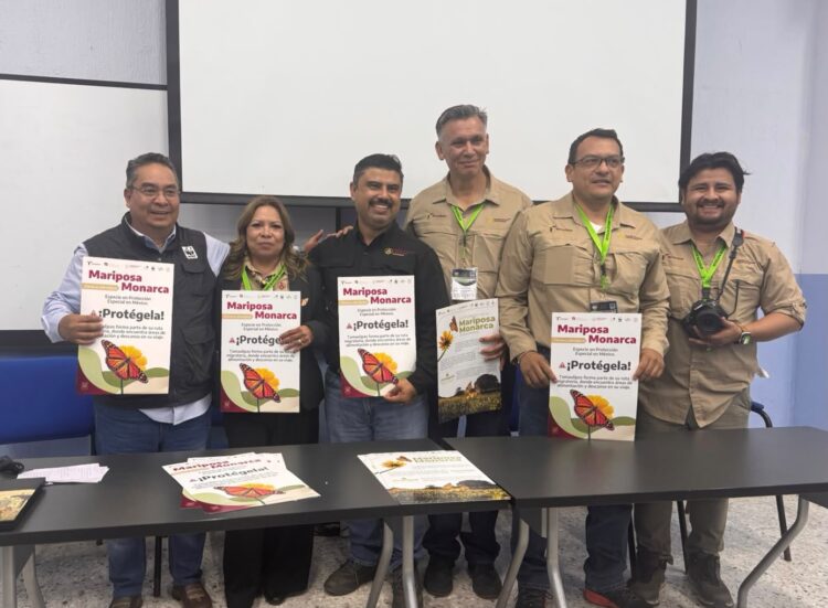 Fortalece Tamaulipas acciones para la conservación de la mariposa monarca