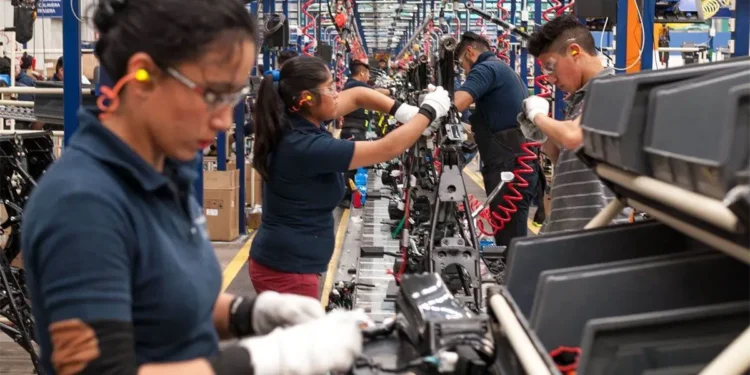 Federación y Tamaulipas coordinan esfuerzos para fortalecer el empleo