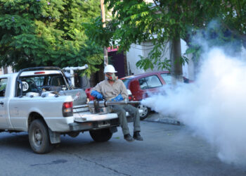 Intensificarán fumigación y descacharrización ante riesgo de dengue