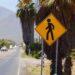 Municipios de Tamaulipas deberán reforzar señalamientos viales en zonas de mayor afluencia
