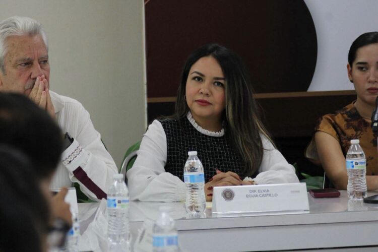 Plantean accesibilidad cognitiva en trámites y servicios públicos