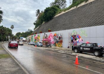 Impulsa Mónica Villarreal el arte urbano con 70 murales en Tampico