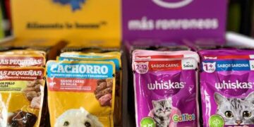 Propone PAN eliminar el IVA a los alimentos para mascotas 
