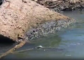 Descarta COEPRIS derrame de crudo en el río Pánuco