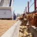Tamaulipas busca reabrir exportación de ganado en pie: Amaya García 