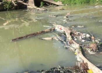 SEDUMA realizará muestreos por denuncias de contaminación en ríos de Güémez