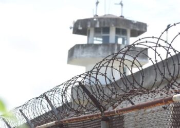 Caen hasta 20 líderes de grupos dedicados a la extorsión en Tamaulipas