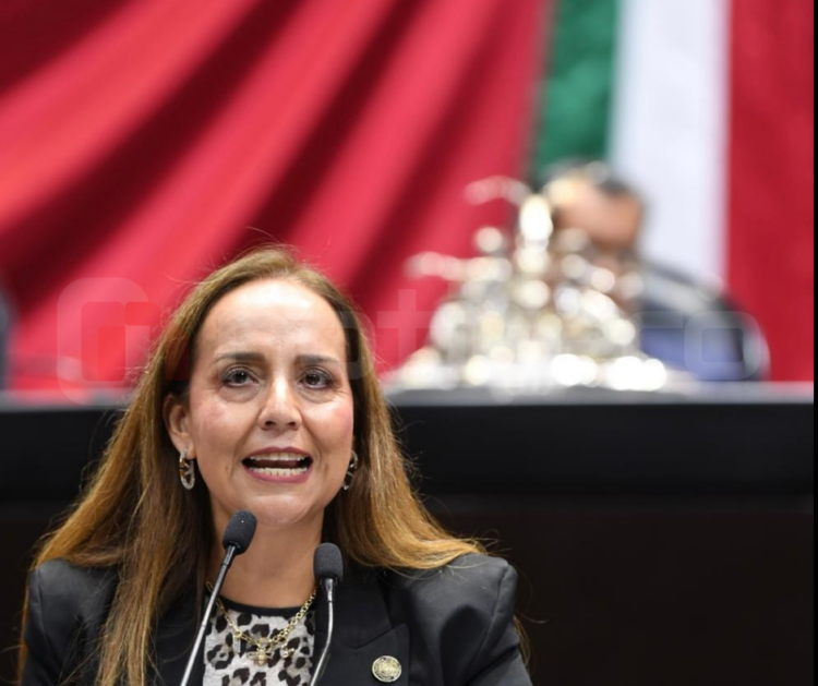 Veronica Pérez llama en ley de economía digital a no legislar desde la burbuja 